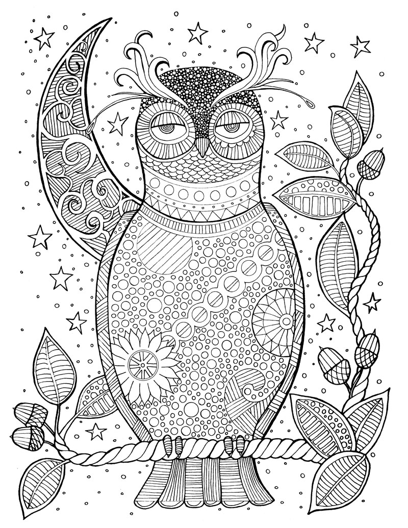 Page 73 of Soul of the Woodland A Stress Relieving Adult Coloring Book Celebration